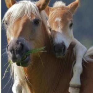 Meet your Posher, Ericka